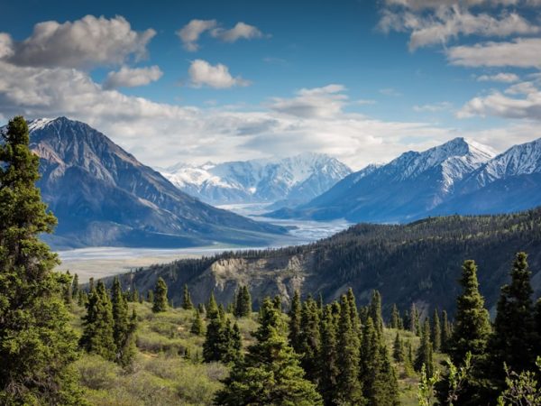 Peak Season Panorama